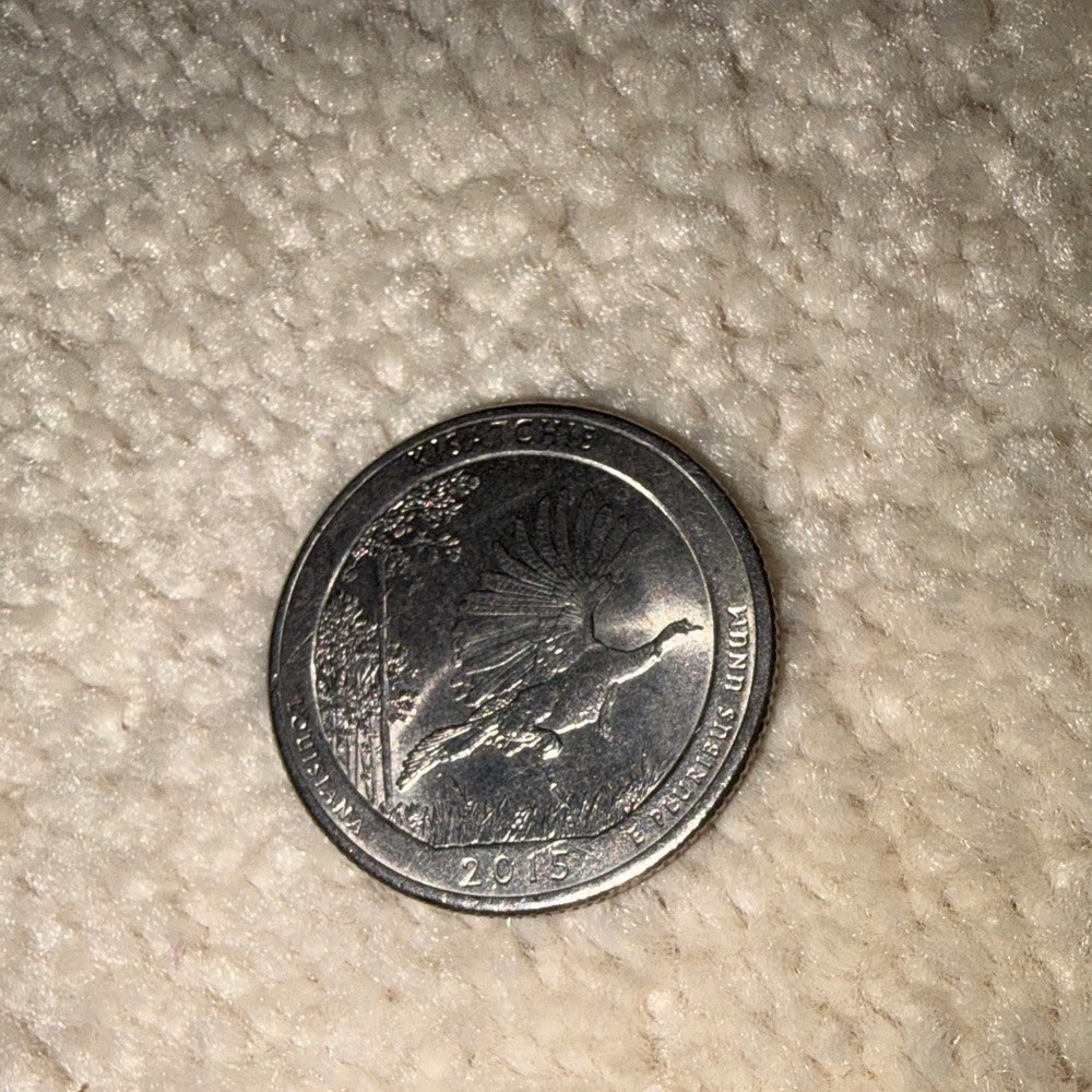US American Quarter Louisiana Kisatchie (2015) - Picture 4 of 10